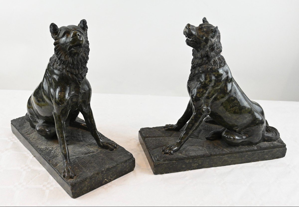 Coppia Di Cani in Marmo - Francia XIX Secolo-photo-3